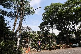 Rain Causes Destruction And Many Trees Fall In São Paulo