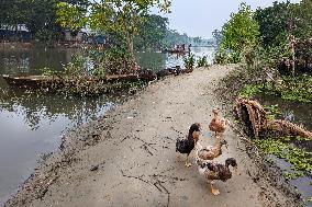 Daily Life In Bangladesh