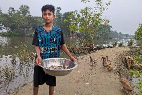 Daily Life In Bangladesh