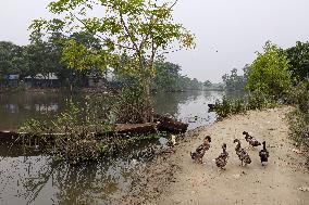 Daily Life In Bangladesh