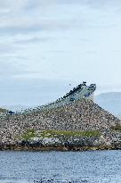 Atlantic Ocean Road In Norway