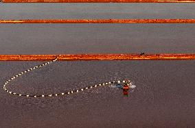 Salt Harvesting - China