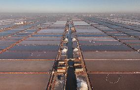 Salt Harvesting - China