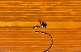 Salt Harvesting - China