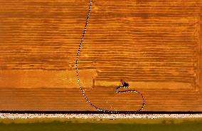 Salt Harvesting - China