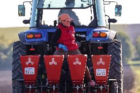 Galicia Garlic Planting In Lesser Poland Region