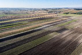 Galicia Garlic Planting In Lesser Poland Region