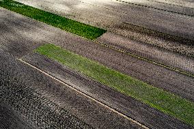 Galicia Garlic Planting In Lesser Poland Region