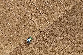 Winter Wheat Sowing in Yantai