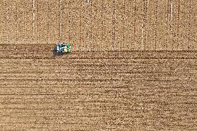 Winter Wheat Sowing in Yantai