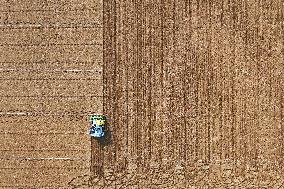 Winter Wheat Sowing in Yantai