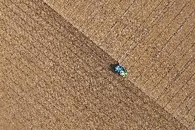 Winter Wheat Sowing in Yantai