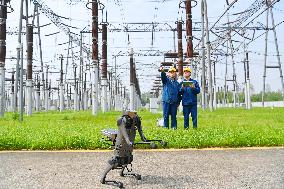 Robot Dog Inspection 500 kV Substation in Chuzhou