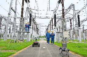 Robot Dog Inspection 500 kV Substation in Chuzhou