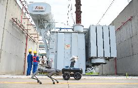 Robot Dog Inspection 500 kV Substation in Chuzhou