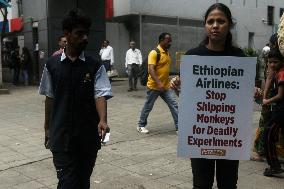 PETA Protest In Mumbai