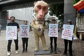 PETA Protest In Mumbai