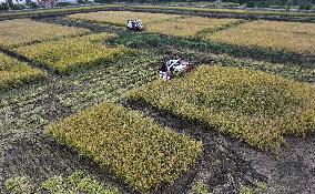 An Ecological Breeding Base in Hai 'an