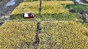 An Ecological Breeding Base in Hai 'an