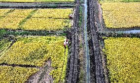 An Ecological Breeding Base in Hai 'an