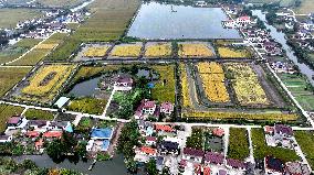 An Ecological Breeding Base in Hai 'an