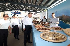 President Xi Jinping Visits Aojiao Village - China