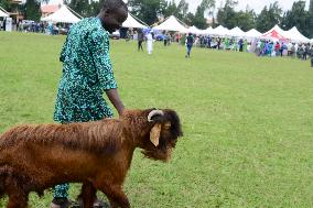 2024 World Food Day In Lagos, Nigeria