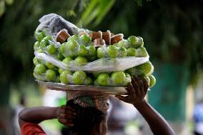 2024 World Food Day In Lagos, Nigeria