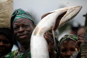 2024 World Food Day In Lagos, Nigeria