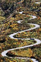 Autumn leaves on central Japan mountain route