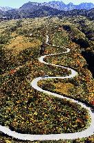 Autumn leaves on central Japan mountain route