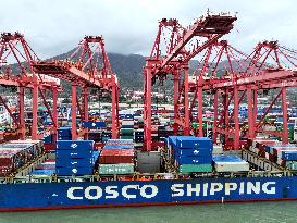 Lianyungang Port Cargo Throughput Growth