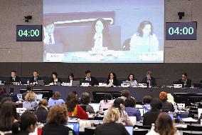 U.N. committee reviews Japan's gender equality situation