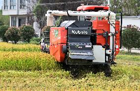 An Organic Rice Planting Base in Taicang