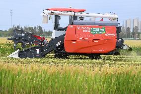 An Organic Rice Planting Base in Taicang