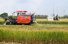 An Organic Rice Planting Base in Taicang