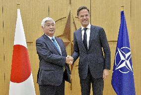 Japan defense chief meets with NATO head