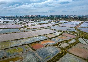 Colorful Salt Lake in Yuncheng