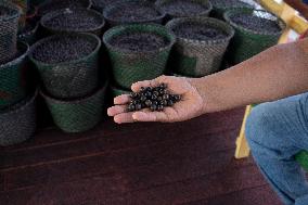 Daily Life In Afuá In The Brazilian Amazon