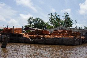 Daily Life In Afuá In The Brazilian Amazon