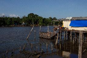 Daily Life In Afuá In The Brazilian Amazon