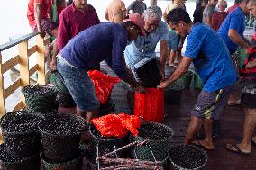 Daily Life In Afuá In The Brazilian Amazon