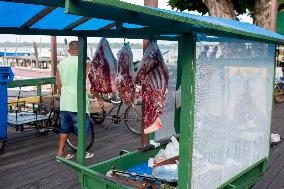 Daily Life In Afuá In The Brazilian Amazon