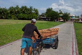 Daily Life In Afuá In The Brazilian Amazon