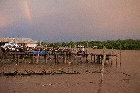 Daily Life In Afuá In The Brazilian Amazon