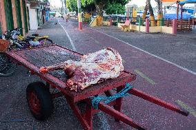 Daily Life In Afuá In The Brazilian Amazon