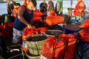 Daily Life In Afuá In The Brazilian Amazon