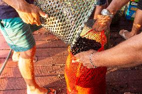 Daily Life In Afuá In The Brazilian Amazon