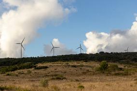 Portugal's Renewable Energy Equipment Expansion