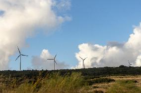 Portugal's Renewable Energy Equipment Expansion